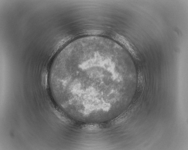 X0000115440110200912020953