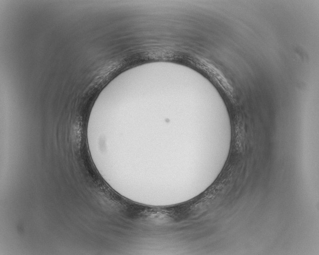 X0000115440113200912020953