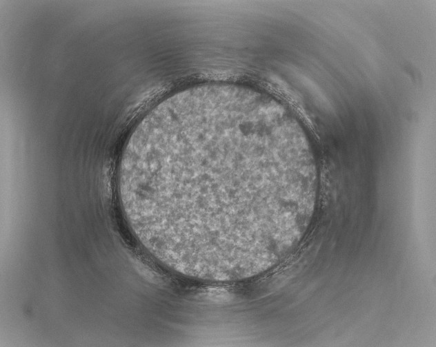 X0000115440114200912020953