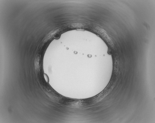 X0000115440116200912020953