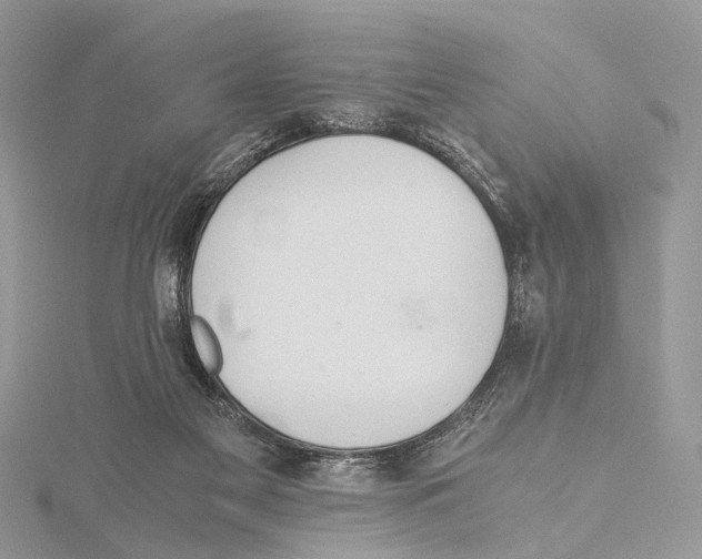 X0000115440117200912020953