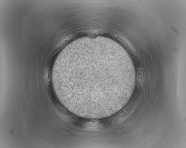 X0000115440119200912020953