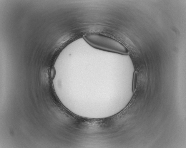 X0000115440120200912020953