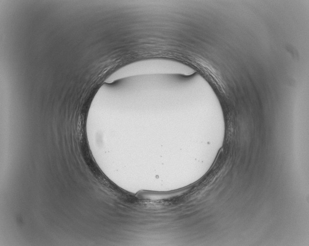 X0000115440121200912020953