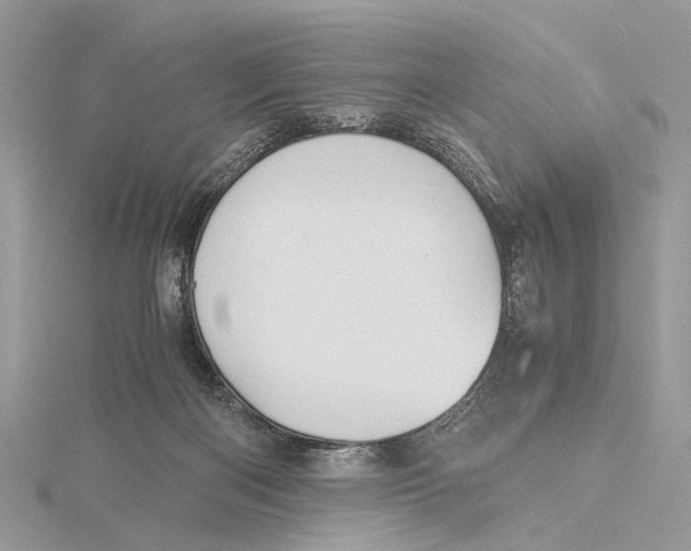 X0000115440122200912020953