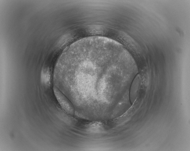 X0000115440124200912020953