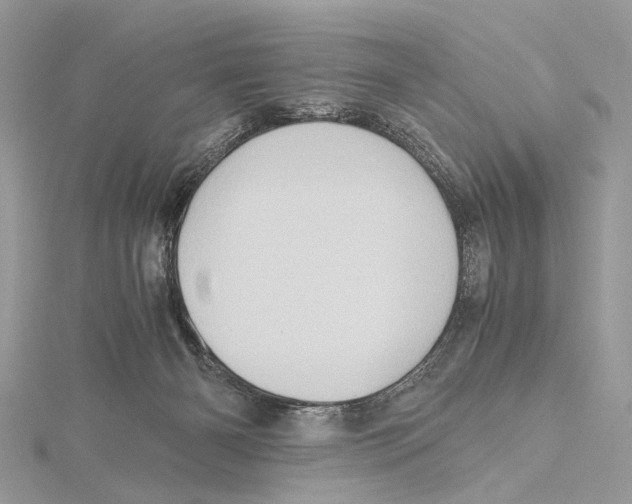 X0000115440126200912020953