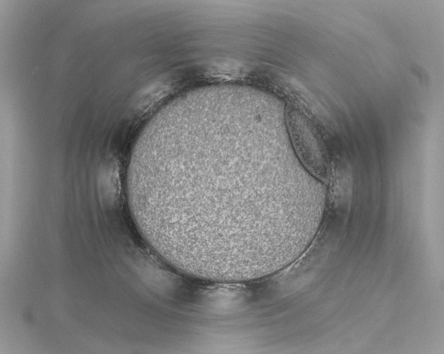 X0000115440128200912020953