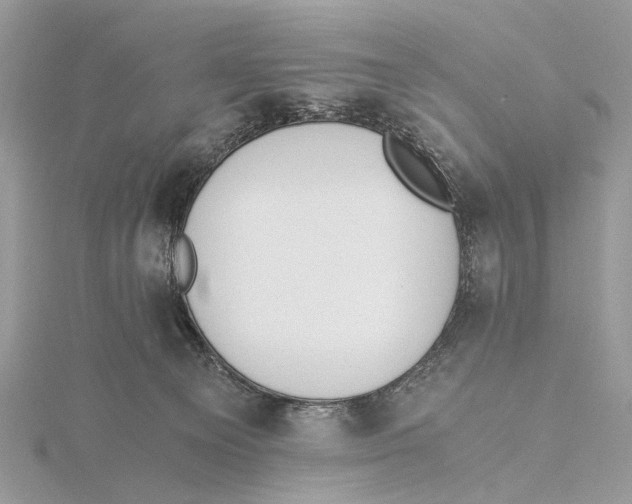 X0000115440129200912020953