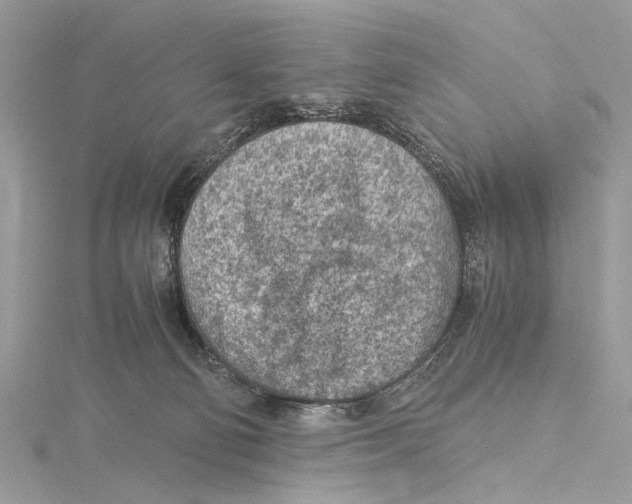 X0000115440130200912020953