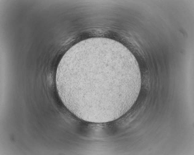 X0000115440131200912020953