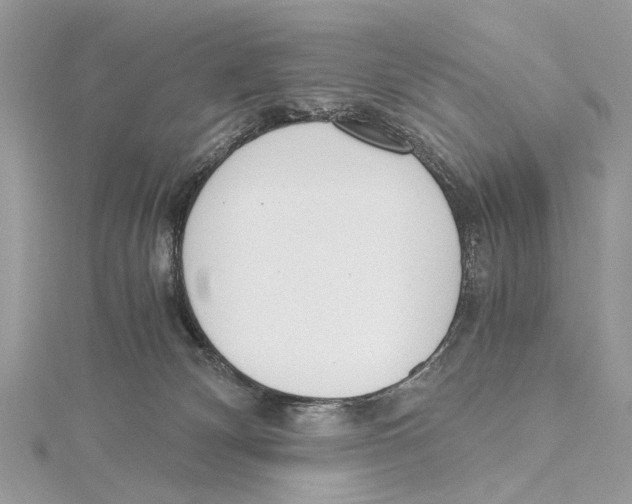 X0000115440132200912020953