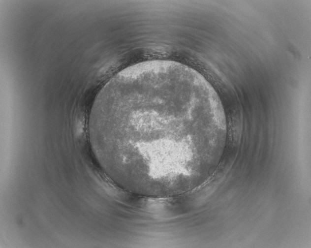 X0000115440134200912020953