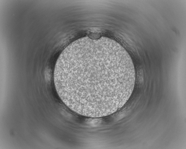 X0000115440135200912020953