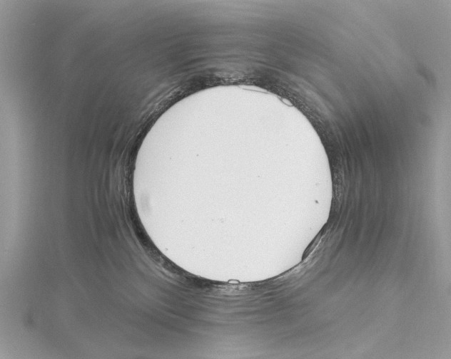 X0000115440136200912020953