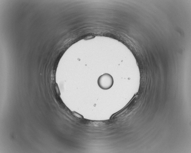 X0000115440137200912020953