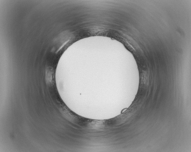 X0000115440138200912020953