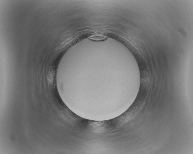 X0000115440139200912020953