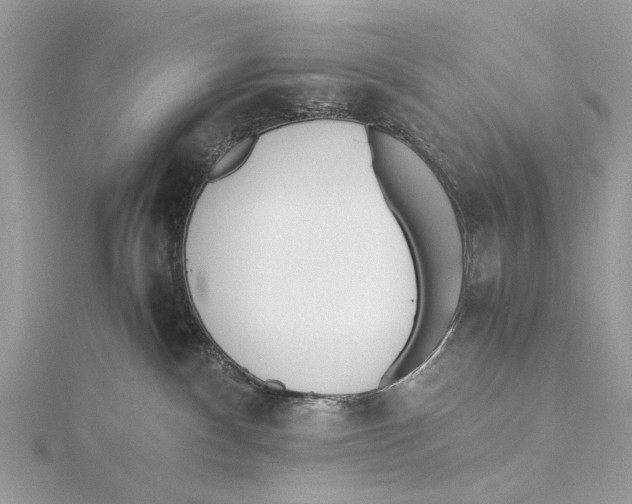 X0000115440140200912020953