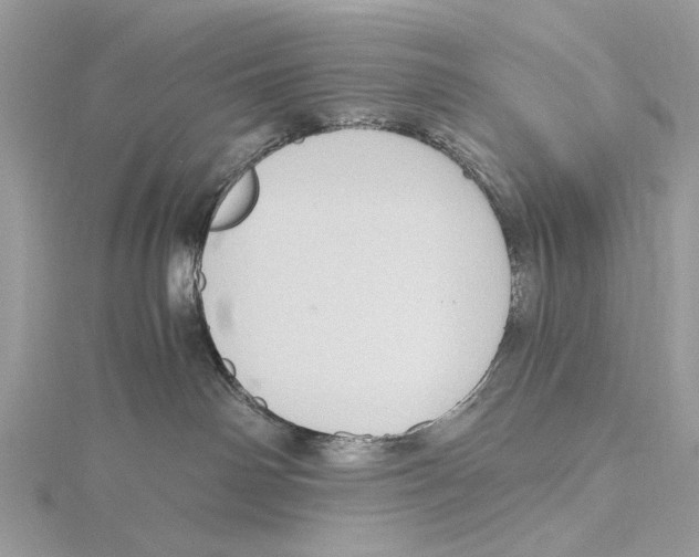 X0000115440142200912020952