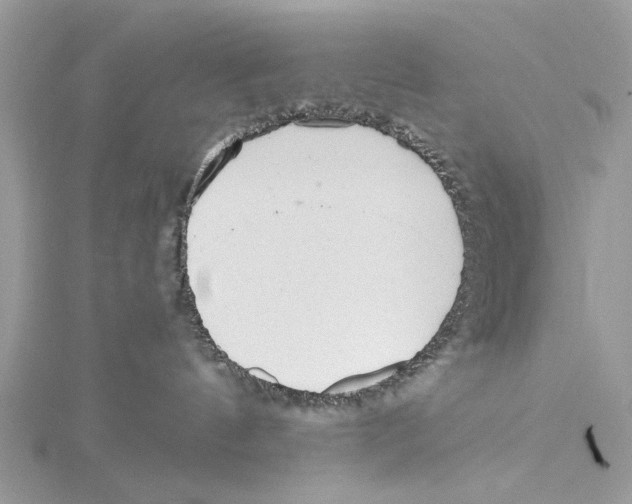 X0000115440144200912020952