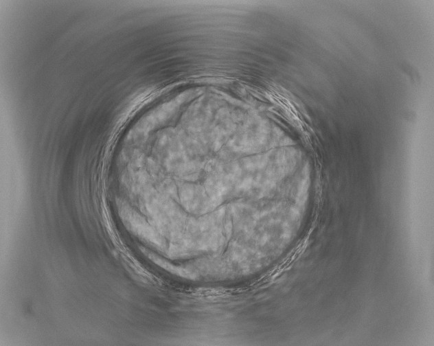 X0000115440145200912020952