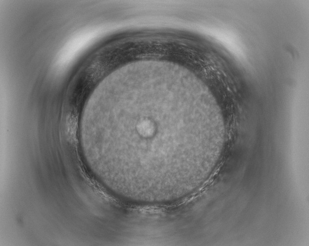 X0000115440146200912020952