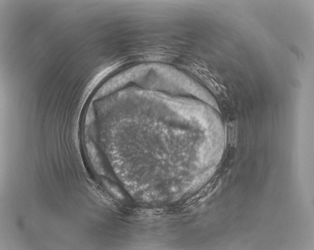 X0000115440147200912020952