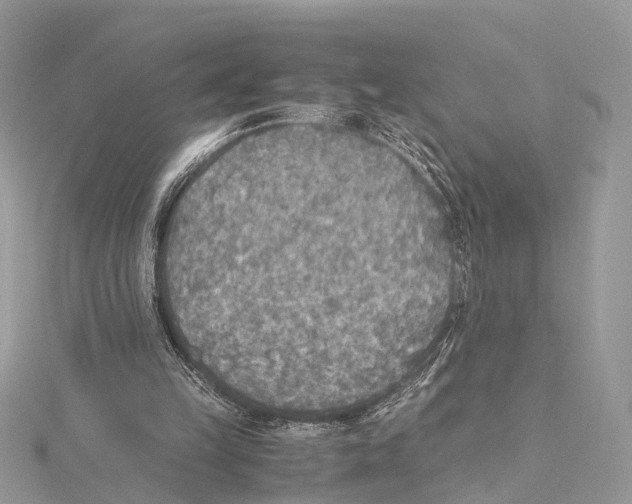 X0000115440149200912020952