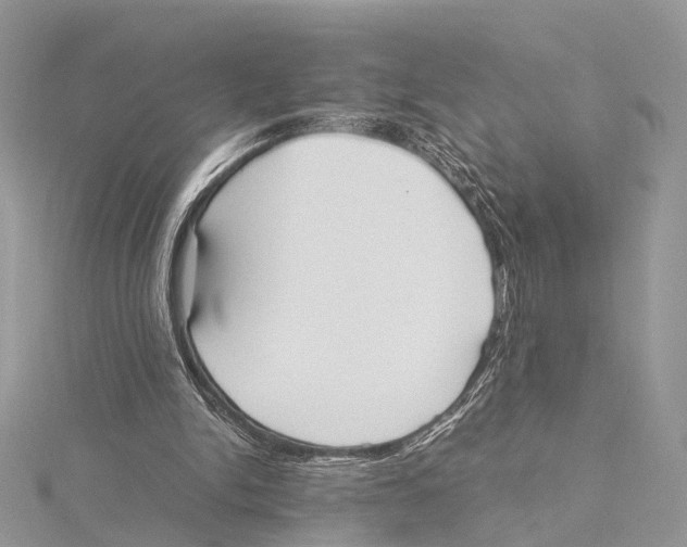 X0000115440150200912020952