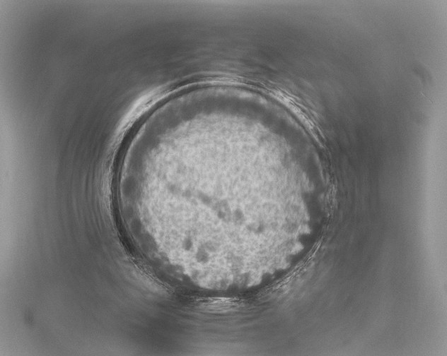 X0000115440151200912020952