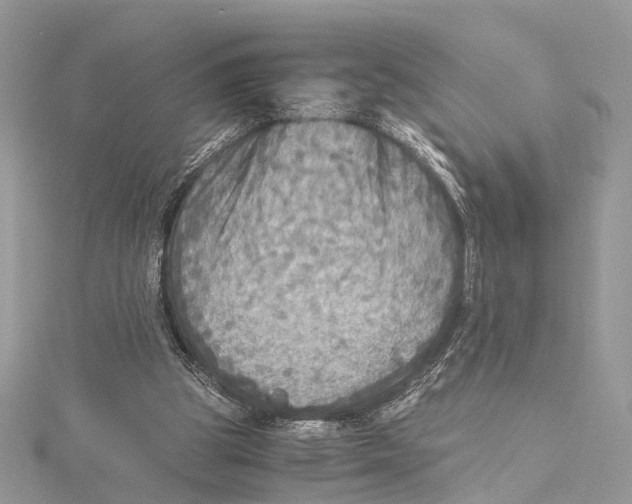 X0000115440153200912020952