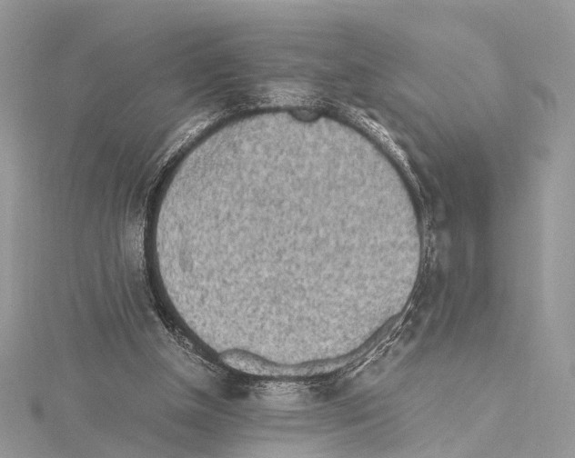 X0000115440154200912020952