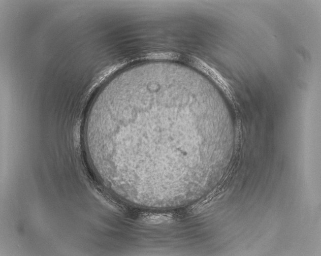 X0000115440155200912020952