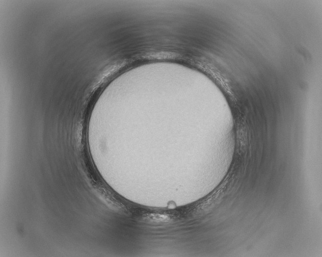 X0000115440159200912020952