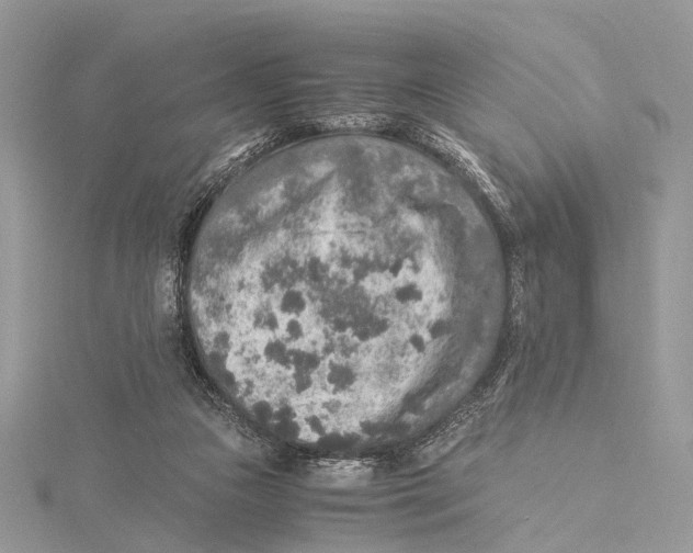 X0000115440161200912020952