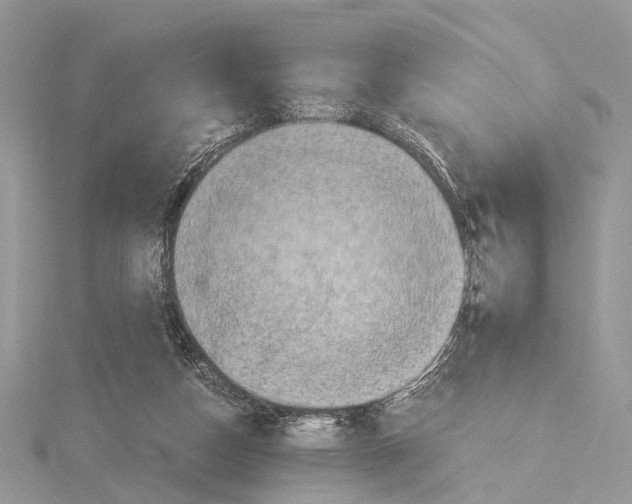 X0000115440162200912020952