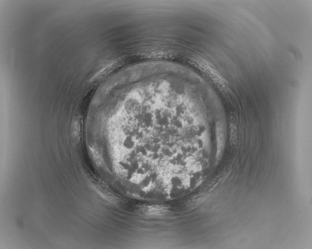 X0000115440165200912020952