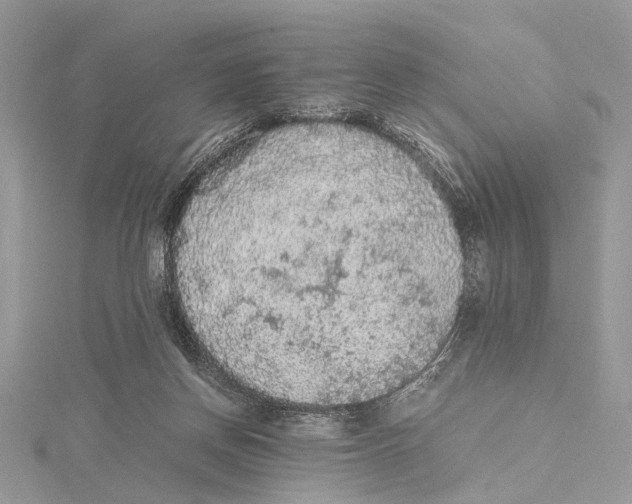 X0000115440166200912020952