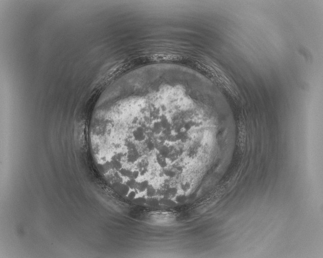 X0000115440169200912020952