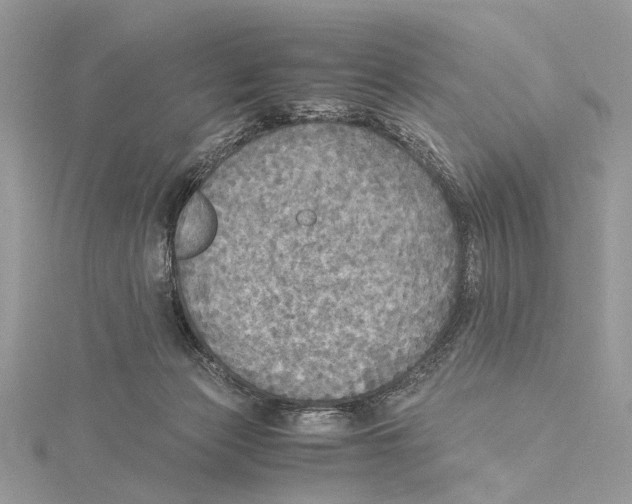 X0000115440173200912020952