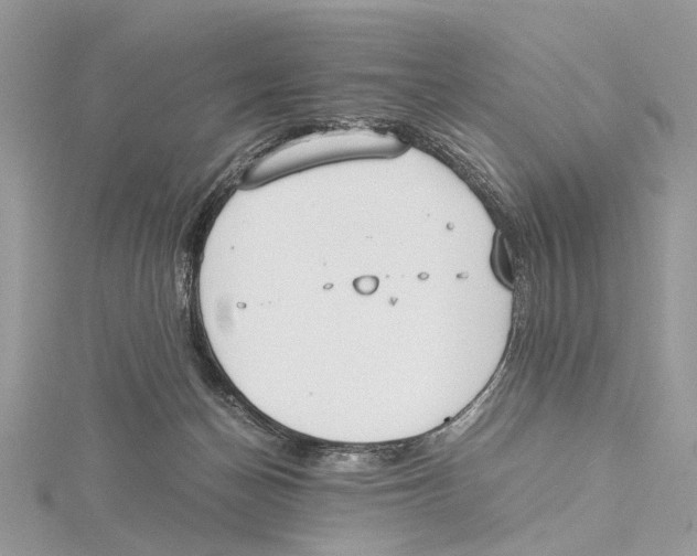 X0000115440174200912020952