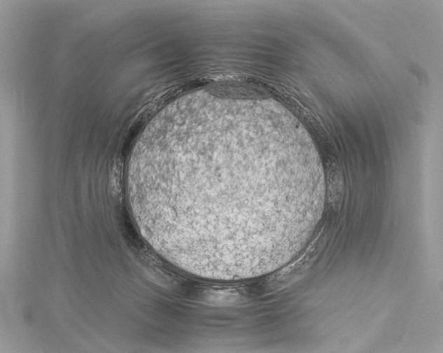 X0000115440175200912020952