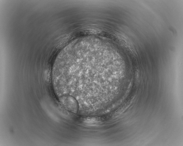 X0000115440177200912020952