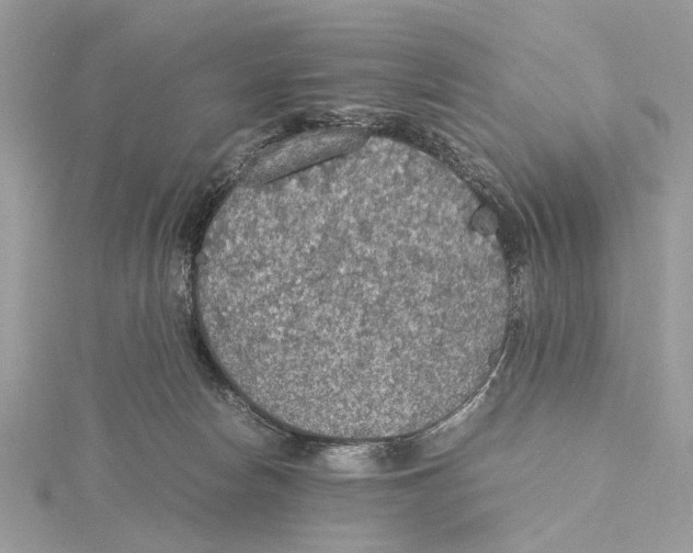 X0000115440178200912020952