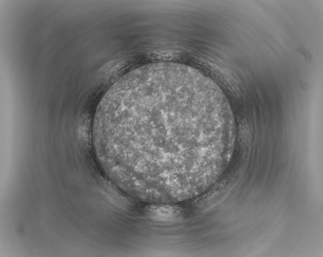 X0000115440181200912020952