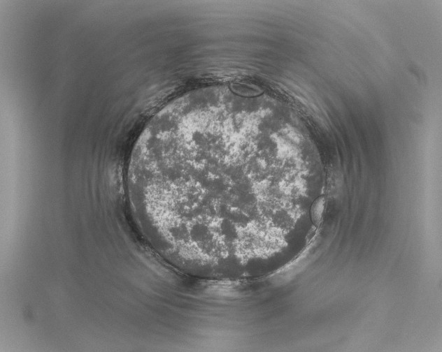 X0000115440182200912020952