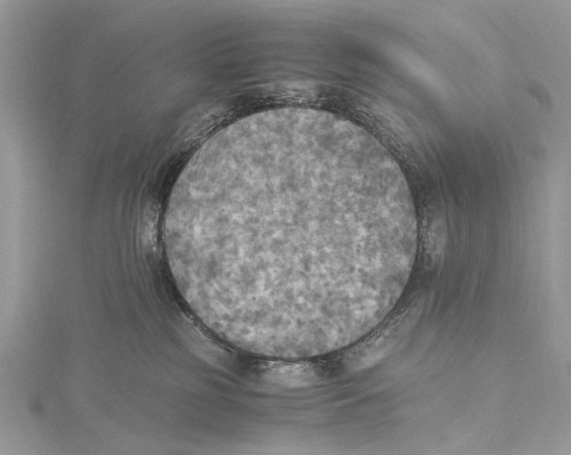 X0000115440185200912020952