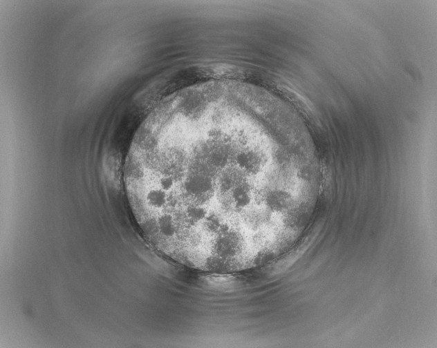 X0000115440189200912020952