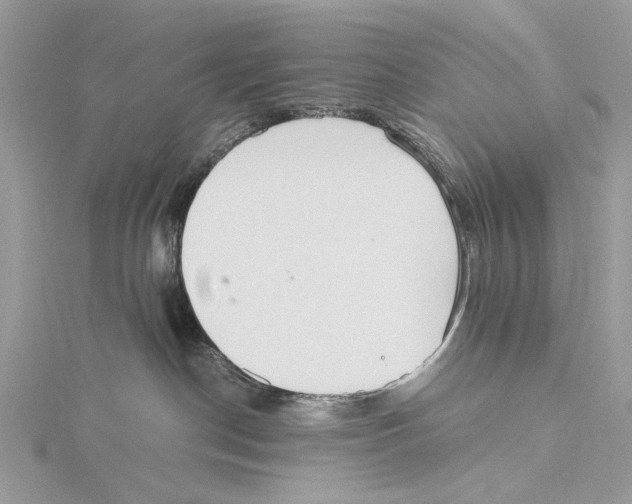 X0000115440190200912020952